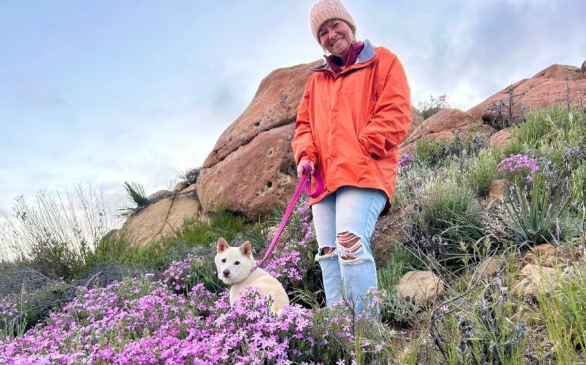 The Home Page | Home For The Holidays (Scout Included)