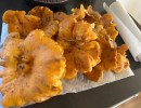 Full Belly Files | It’s Chanterelle Season, from the Santa Cruz to Santa Barbara