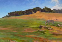 Reception for Field Studies & Ann Lofquist