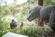 Free Admission to S.B. Museum of Natural History