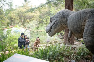 Free Admission to S.B. Museum of Natural History