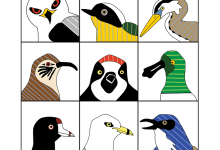 Winter Bird Count for Kids