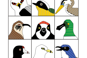 Winter Bird Count for Kids