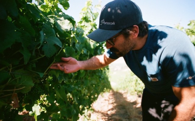 Second Gen Winemaker Bingo Wathen’s Barieau Wines