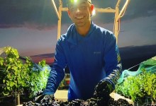 Mixing Art and Ocean into Rooted Vine Cellars