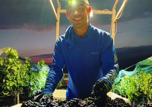 Mixing Art and Ocean into Rooted Vine Cellars