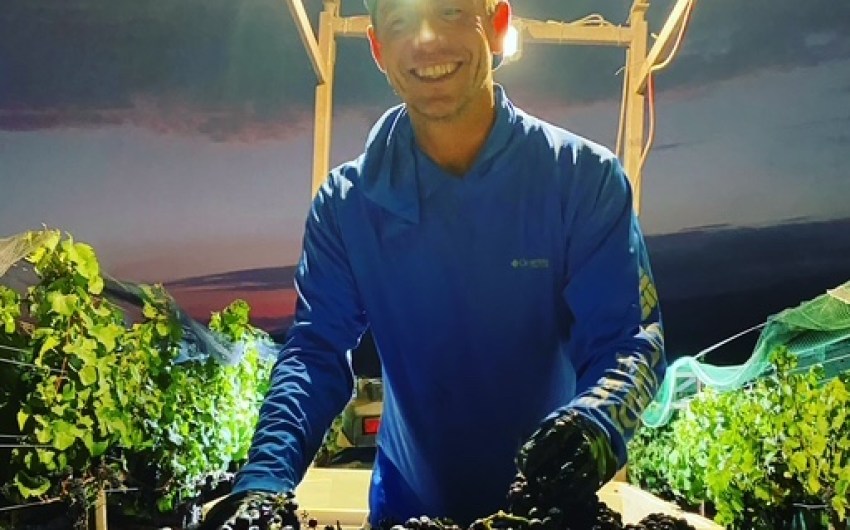 Mixing Art and Ocean into Rooted Vine Cellars