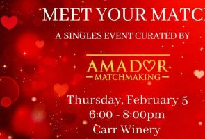 Meet Your Match: A Curated Valentine’s Party for Singles