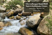 Explore Rattlesnake Canyon