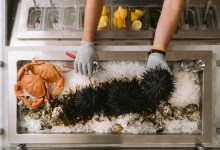 Answering the Urge for Urchin