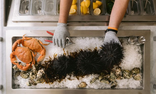 Answering the Urge for Urchin