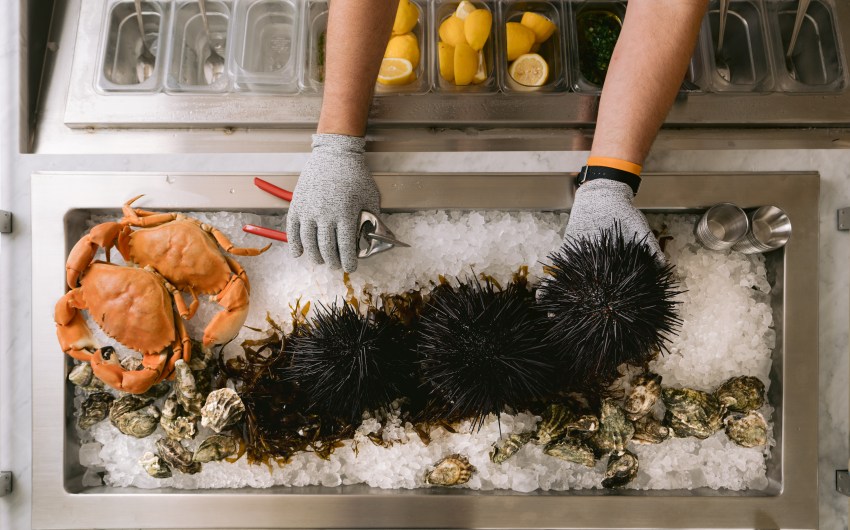 Answering the Urge for Urchin