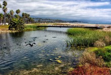 Santa Barbara’s East Beach Reopens Following Monthlong Closure Due to Sewage Spill