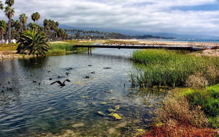 Santa Barbara’s East Beach Reopens Following Monthlong Closure Due to Sewage Spill