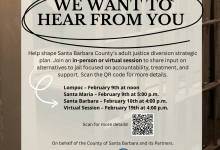 Adult Justice Diversion Strategic Plan Input