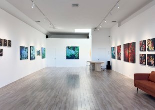 Gardens of Visual Sensation, Night and Day