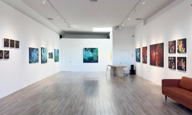 Gardens of Visual Sensation, Night and Day