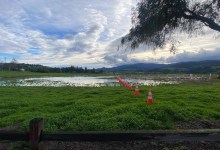 Wet Conditions Force Cancellation of Solvang’s Annual Christmas Tree Burn