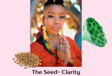 Lotus Bloom Circle Series: The Seed – Clarity