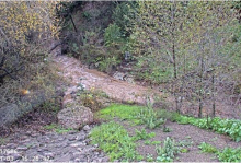 Man Dies After Being Swept into Goleta Valley Creek During Saturday Storm