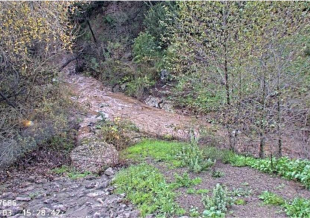 Man Dies After Being Swept into Goleta Valley Creek During Saturday Storm