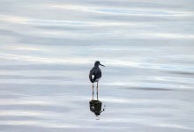 Climate Fridays Resource Fair and Networking Event