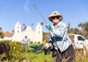 Volunteers Invited to Annual Rose Pruning Day at Mission Historical Park in Santa Barbara