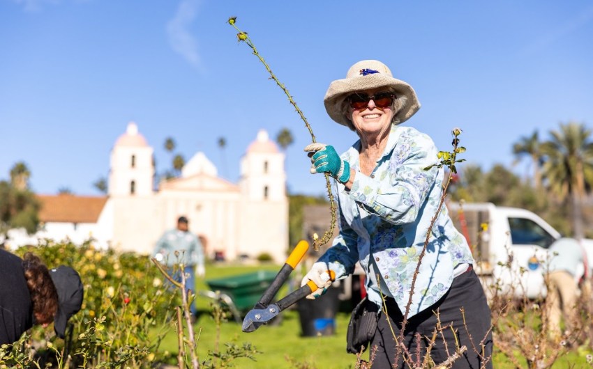Volunteers Invited to Annual Rose Pruning Day at Mission Historical Park in Santa Barbara