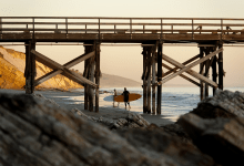 California State Parks to Offer Free Vehicle Entry on MLK Day with Support from California State Parks Foundation