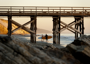California State Parks to Offer Free Vehicle Entry on MLK Day with Support from California State Parks Foundation