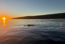 Santa Barbara High Sophomore Paddles from Santa Cruz Island to Ventura to Raise Thousands for Unhoused Neighbors