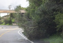 National Weather Service Issues Warnings for High Winds in Santa Barbara County
