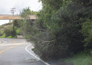 National Weather Service Issues Warnings for High Winds in Santa Barbara County
