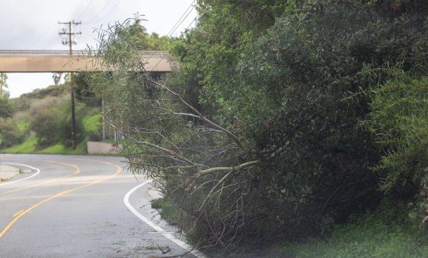 National Weather Service Issues Warnings for High Winds in Santa Barbara County