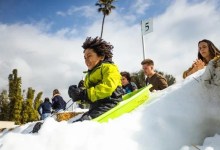 Snow Leopard Festival