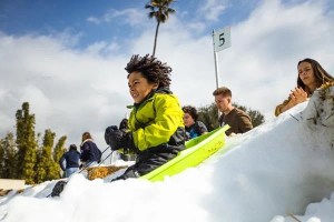 Snow Leopard Festival