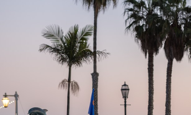 We The People Are Not Alone