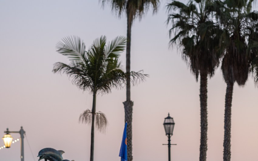 We The People Are Not Alone