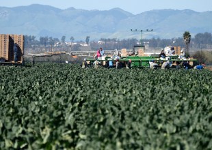 State Labor Commissioner’s Office Secures $6 Million for Central Coast Farmworkers