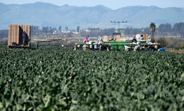 State Labor Commission Secures $6 Million for Central Coast Farmworkers
