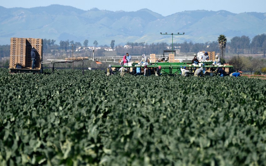 State Labor Commission Secures $6 Million for Central Coast Farmworkers
