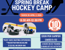 Spring Break Hockey Camp