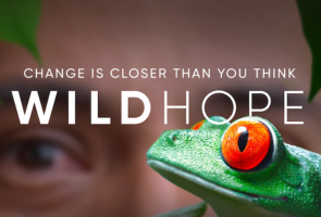 An Evening of Wild Hope: PBS Film Screenings
