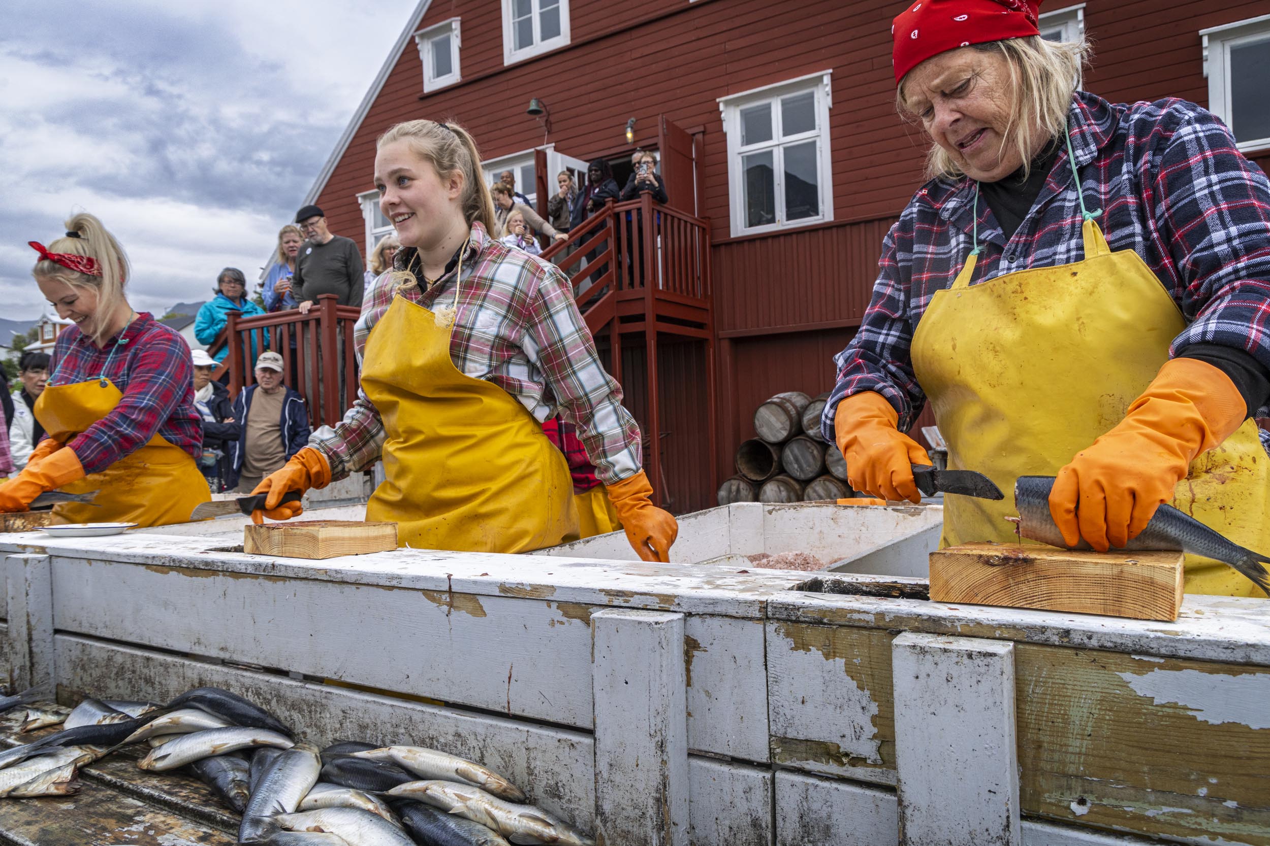 Making, Not Taking, Pictures