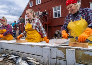 Making, Not Taking, Pictures