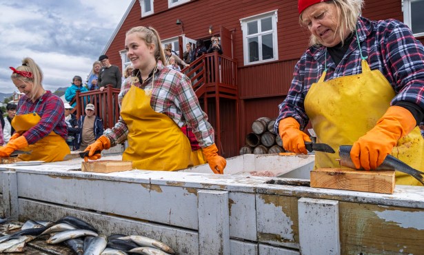 Making, Not Taking, Pictures