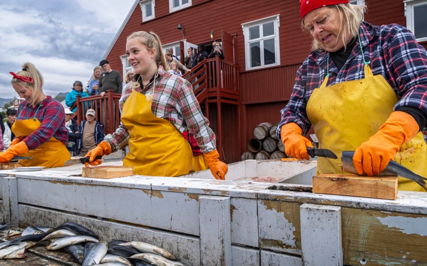 Making, Not Taking, Pictures