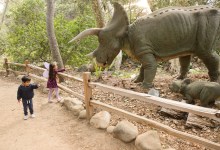 Spring Family Festival for SBMNH Members