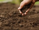 Using Sound Waves to Map Soil Health