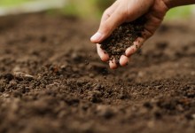 Using Sound Waves to Map Soil Health